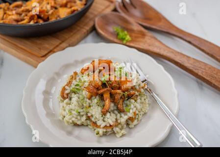 Hausgemachtes Risotto mit Pfifferlingen und Kräutern Stockfoto