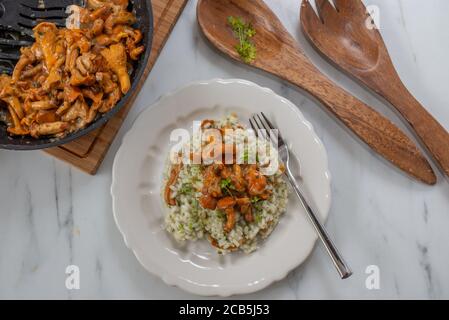 Hausgemachtes Risotto mit Pfifferlingen und Kräutern Stockfoto