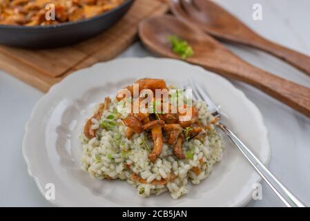 Hausgemachtes Risotto mit Pfifferlingen und Kräutern Stockfoto