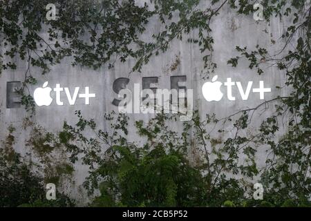 LOS ANGELES - OCT 21: Atmosphäre bei der Apple TV+'s 'See' Premiere Screening im Village Theatre am 21. Oktober 2019 in Westwood, CA Stockfoto