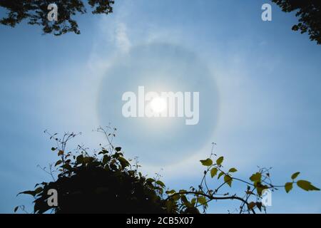 Atmosphärischer optischer Effekt umkreist die Sonne am heißen Sommertag. Atmosphärisches Halo-Phänomen um die Sonne Stockfoto