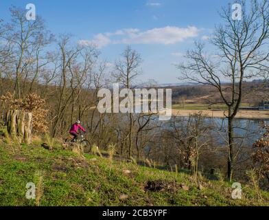 Tschechische republik, Prag, Hostivarska prehrada, 2. April 2018: Frauen in rosa Reiten das Fahrrad um künstlichen See Damm am frühen Frühling sonnigen Tag, Baum Stockfoto