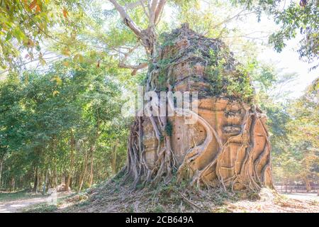 Kampong Thom, Kambodscha - Sambor Preis Kuk in Kampong Thom, Kambodscha. Es ist Teil der Tempelzone von Sambor Preis Kuk Weltkulturerbe. Stockfoto