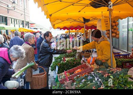 Käufer wählen Weihnachtsdekorationen von Stechpalme mit Beeren bei a Cotswold Famers Market Stockfoto