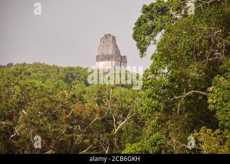 Tempel der Doppelköpfigen Schlange oder Tempel IV Maya-Tempel umgeben von Dschungel im Tikal Nationalpark, Guatemala Stockfoto