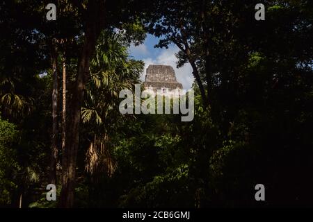 Tempel der Doppelköpfigen Schlange oder Tempel IV Maya-Tempel umgeben von Dschungel im Tikal Nationalpark, Guatemala Stockfoto