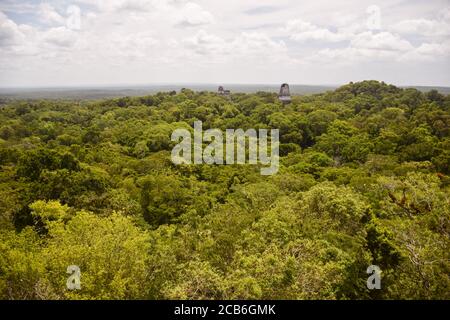 Tempel der Doppelköpfigen Schlange oder Tempel IV Maya-Tempel umgeben von Dschungel im Tikal Nationalpark, Guatemala Stockfoto