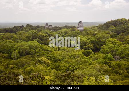 Tempel der Doppelköpfigen Schlange oder Tempel IV Maya-Tempel umgeben von Dschungel im Tikal Nationalpark, Guatemala Stockfoto