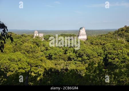 Tempel der Doppelköpfigen Schlange oder Tempel IV Maya-Tempel umgeben von Dschungel im Tikal Nationalpark, Guatemala Stockfoto