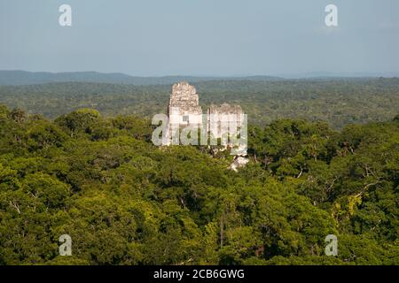 Tempel der Doppelköpfigen Schlange oder Tempel IV Maya-Tempel umgeben von Dschungel im Tikal Nationalpark, Guatemala Stockfoto