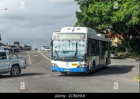 442 Bus in Richtung Balmain East Wharf auf einem bewölkten Herbstnachmittag Stockfoto