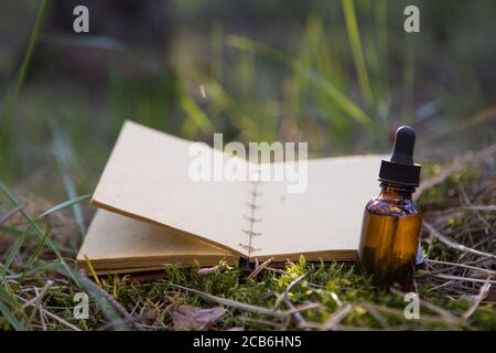 Vintage Stillleben mit offenem Buch, heilende Kräuter. Stockfoto