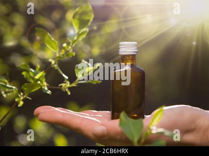 Hand halten bootle von biologischen und ökologischen pflanzlichen pharmazeutischen. Stockfoto