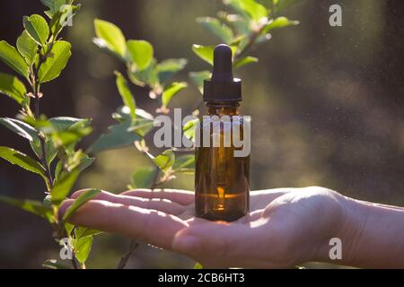 Hand halten bootle von biologischen und ökologischen pflanzlichen pharmazeutischen. Stockfoto