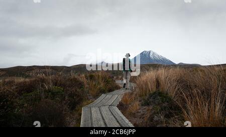 Tramperwandern Taranaki Falls Track mit Mt Ngauruhoe in der Ferne im Tongariro National Park, Neuseeland Stockfoto