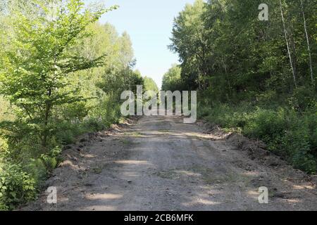 Eine beschauliche, unbefestigte Straße, die durch einen üppig grünen Wald führt und sich bis in die Ferne unter einem klaren blauen Himmel erstreckt. Stockfoto