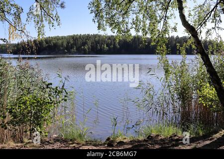 Ein ruhiger See, umgeben von üppigem Grün, mit einem klaren blauen Himmel, der sich auf dem ruhigen Wasser spiegelt. Stockfoto