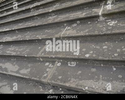 Nahaufnahme der alten Steintreppe, die zum Landgut Longleat führt Stockfoto