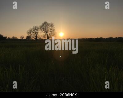 Sonnenuntergang über einem ländlichen Feld Stockfoto