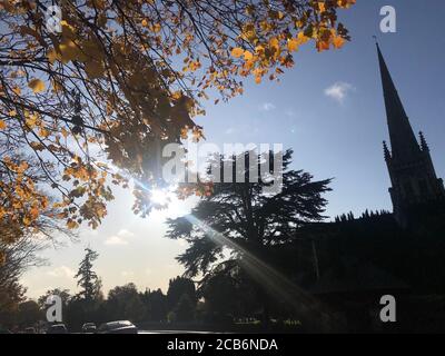 Sonnenschein durch die Bäume an einem Herbsttag in an Englische Stadt (Wokingham) Stockfoto