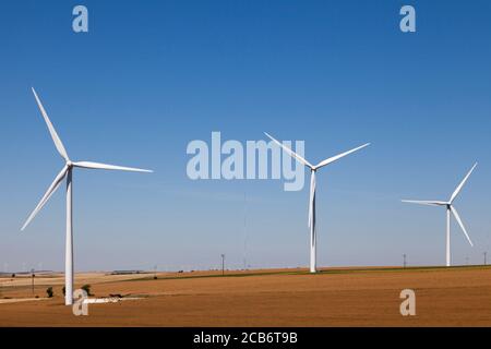 Windturbinen in der Mitte eines Weizenfeldes. Stockfoto