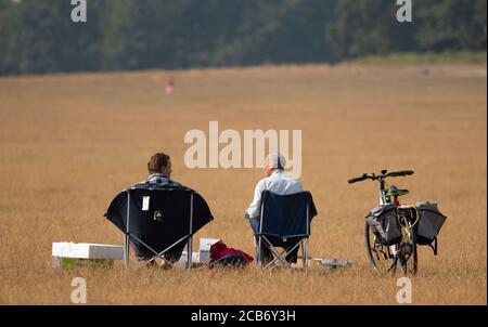 Richmond Park, London, Großbritannien. 11. August 2020. Die Hitzewelle setzt sich in London fort und die Menschen entspannen sich auf goldbraunem Gras im Richmond Park, wenn die Temperatur steigt. Quelle: Malcolm Park/Alamy Live News. Stockfoto