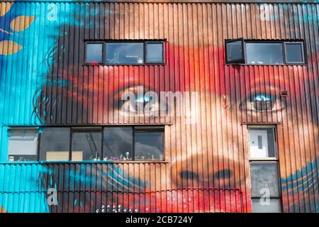 England London Stratford Park Hackney Wick Graffiti Gebäude Büros groß Hübsches Mädchen Gesicht Fenster Augen Nase Dale Grimshaw blau rot Stockfoto