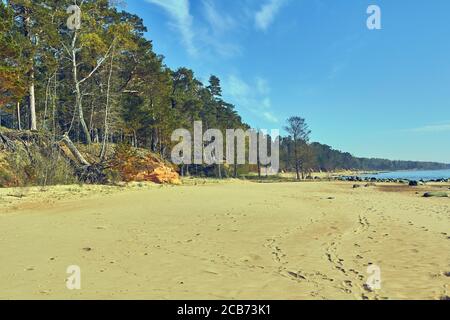 Bäume und große Steine an der Ostsee Felsküste bei Tuja, Veczemju klintis, Vidzeme, Lettland, Landschaft Stockfoto