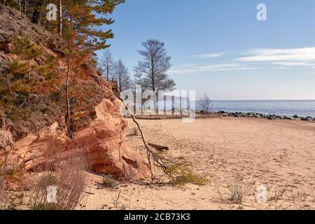 Bäume und große Steine an der Ostsee Felsküste bei Tuja, Veczemju klintis, Vidzeme, Lettland, Landschaft Stockfoto