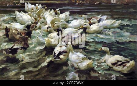 Koester Alexander - Ducks in a Pond 1 - Deutsch Schule - 19. Und Anfang des 20. Jahrhunderts Stockfoto