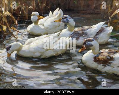 Koester Alexander - Ducks in a Pond 3 - Deutsch Schule - 19. Und Anfang des 20. Jahrhunderts Stockfoto