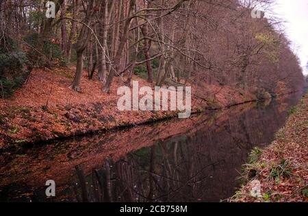 Schöne Herbstfarben spiegeln sich in den stillen Gewässern der Basingstoke Canal bei Deepcut Stockfoto