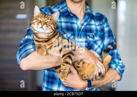 Junger Mann, der eine bengalische Tigerkatze in den Händen hält Stockfoto