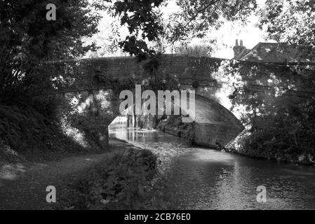 Die Gerstenmähbrücke entlang des schönen Basingstoke Canal in Hampshire wird von der Sommersonne auf diesem Foto ausgewählt Aufgenommen an einem hellen Augusttag Stockfoto