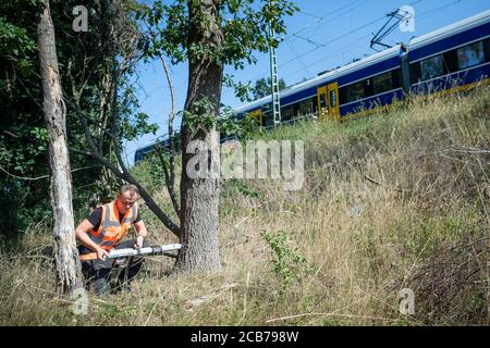 Verden, Deutschland. August 2020. Steffen Korig, Baumprüfer, kontrolliert einen Baum an einer Eisenbahnlinie. Die Deutsche Bahn bewaffnet sich entlang ihres Streckennetzes mit regelmäßigen Vegetationskontrollen gegen mögliche Gefahren durch fallende Bäume. Quelle: Sina Schuldt/dpa/Alamy Live News Stockfoto