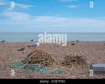 Möwen an einem Strand mit Angelseil und Angelausrüstung In Aldeburgh Suffolk, Großbritannien Stockfoto