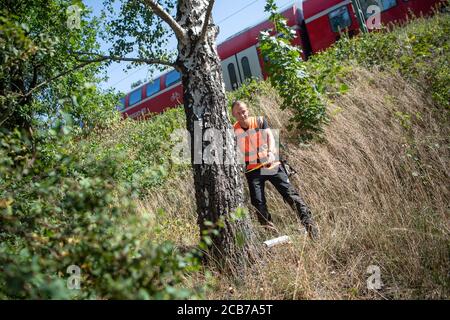 Verden, Deutschland. August 2020. Steffen Korig, Baumprüfer, kontrolliert einen Baum an einer Eisenbahnlinie. Die Deutsche Bahn bewaffnet sich entlang ihres Streckennetzes mit regelmäßigen Vegetationskontrollen gegen mögliche Gefahren durch fallende Bäume. Quelle: Sina Schuldt/dpa/Alamy Live News Stockfoto