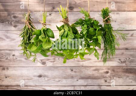 Sammlung von Kochkräutern hängen zum Trocknen gegen graue Holz Hintergrund Stockfoto