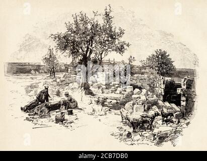 Hirtenfeld, wo die Hirten bei Nacht ihre Herden bewachten und ihnen die Engel mit der Ankündigung der Geburt Jesu erschienen. Bethlehem, Israel. Alte XIX Jahrhundert gravierte Illustration von La Ilustracion Española y Americana 1894 Stockfoto