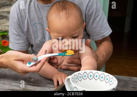 Abgelenkt asiatische Baby hält einen Plastiklöffel sitzen draußen essen Abendessen an einem Picknicktisch, der von der Mutter des Vaters gehalten wird Hand Wales UK KATHY DEWITT Stockfoto