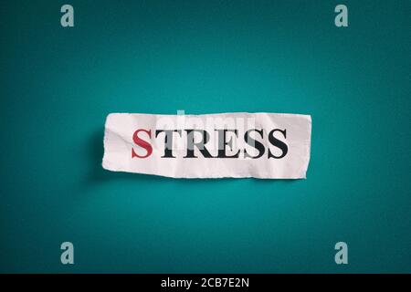 Zerknittert Stück Papier mit Wort Stress. Nahaufnahme. Stockfoto