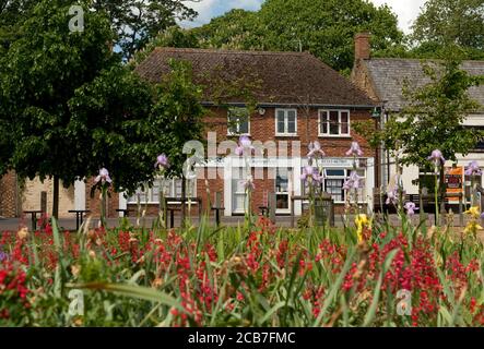 Arbeitsagentur in der Domstadt Ely, Cambridgeshire, England. Stockfoto