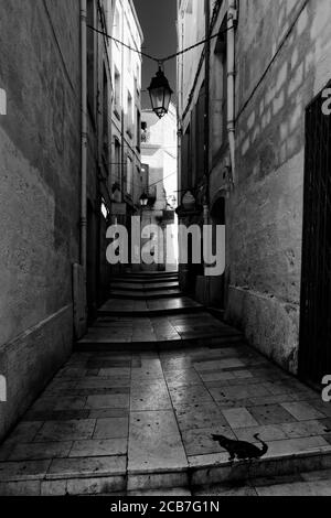 Jemand hat eine schwarze Katze auf einer Stufe dieser Gasse in Montpellier, Frankreich gemalt. Die engen Gassen sind typisch für das historische Zentrum der Stadt. Stockfoto