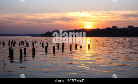 Sonnenuntergang Himmel, fliegende Vögel und schöne Landschaft Stockfoto