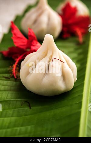 Ukdiche Modak sind gedünstete Knödel mit einem äußeren Reismehlteig und einer Kokos-Jagery Füllung, indische Nahrung, die Lord ganesha auf Chaturthi angeboten wird Stockfoto