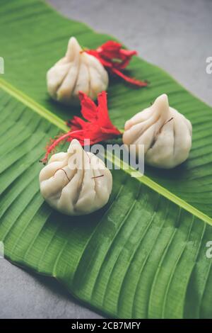 Ukdiche Modak sind gedünstete Knödel mit einem äußeren Reismehlteig und einer Kokos-Jagery Füllung, indische Nahrung, die Lord ganesha auf Chaturthi angeboten wird Stockfoto