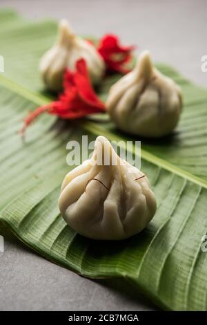 Ukdiche Modak sind gedünstete Knödel mit einem äußeren Reismehlteig und einer Kokos-Jagery Füllung, indische Nahrung, die Lord ganesha auf Chaturthi angeboten wird Stockfoto