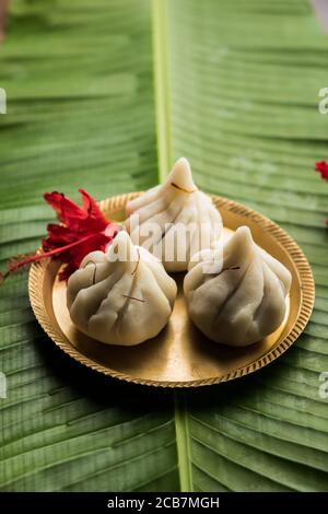 Ukdiche Modak sind gedünstete Knödel mit einem äußeren Reismehlteig und einer Kokos-Jagery Füllung, indische Nahrung, die Lord ganesha auf Chaturthi angeboten wird Stockfoto