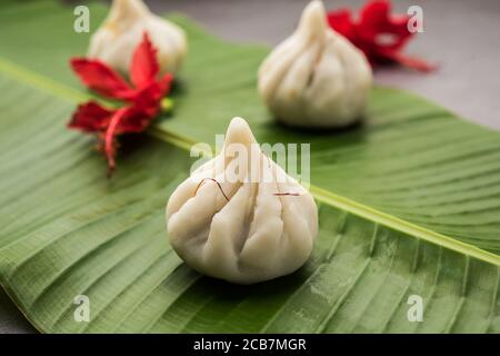 Ukdiche Modak sind gedünstete Knödel mit einem äußeren Reismehlteig und einer Kokos-Jagery Füllung, indische Nahrung, die Lord ganesha auf Chaturthi angeboten wird Stockfoto