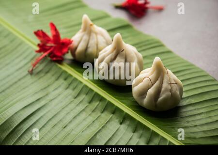 Ukdiche Modak sind gedünstete Knödel mit einem äußeren Reismehlteig und einer Kokos-Jagery Füllung, indische Nahrung, die Lord ganesha auf Chaturthi angeboten wird Stockfoto